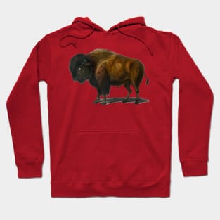 Vintage bison buffalo animal Hoodie